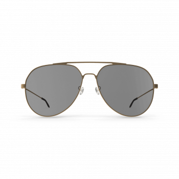 Gold Rimmed Aviators