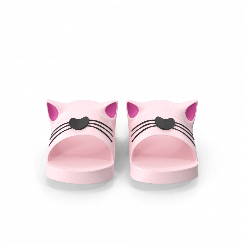 Cat Slippers