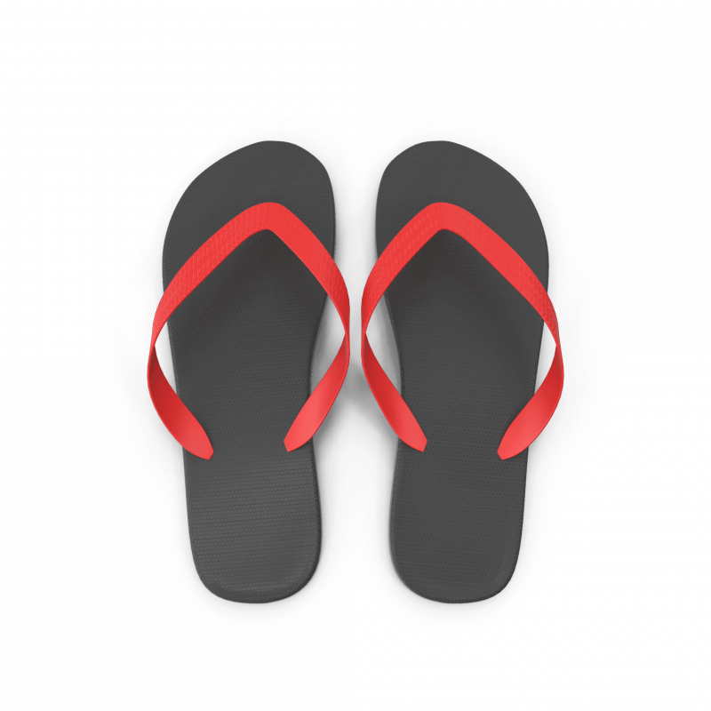 Flip Flops