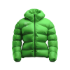 Down Jacket 02